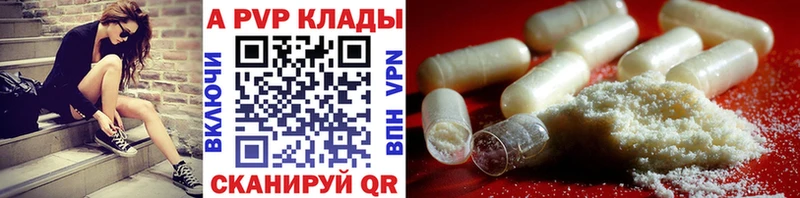 Alfa_PVP СК КРИС  Дно 