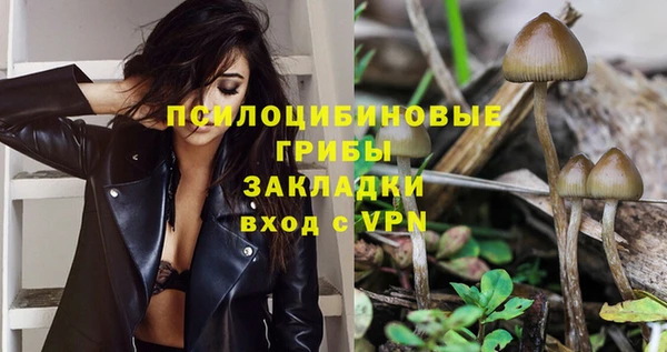 ECSTASY Аркадак