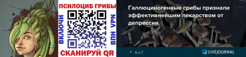 Псилоцибиновые грибы прущие грибы  Дно 